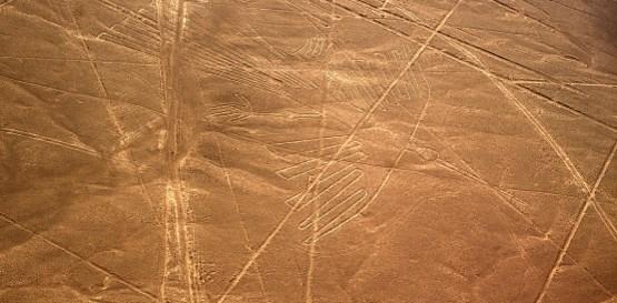 Obrazce v Nazca