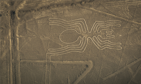 Obrazce v Nazca Latinská Amerika